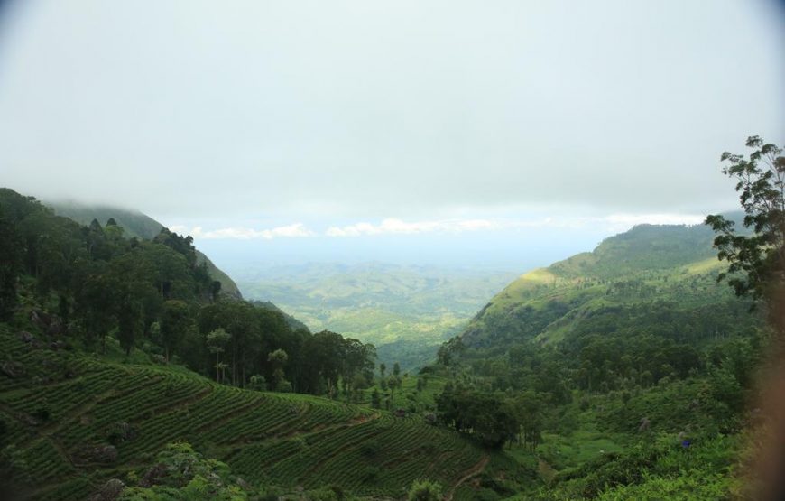 Orient Hotel Bandarawela