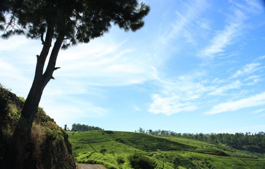 Orient Hotel Bandarawela