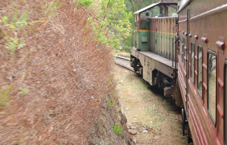 Train View Chalet