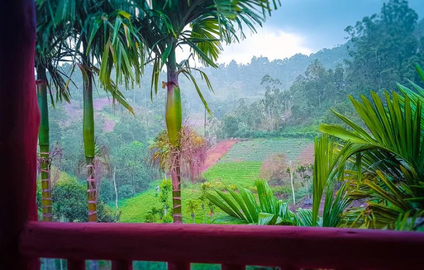 Double Room with Mountain View